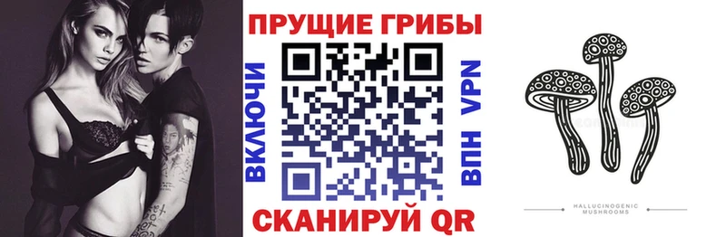 Галлюциногенные грибы мицелий  это состав  Владивосток  hydra ссылки 